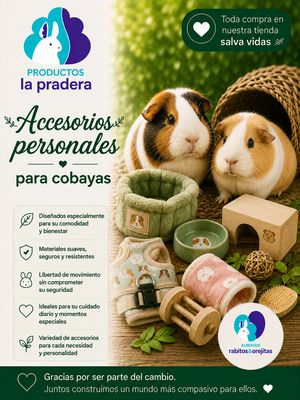 ACCESORIOS PERSONALES