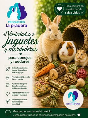 JUGUETES