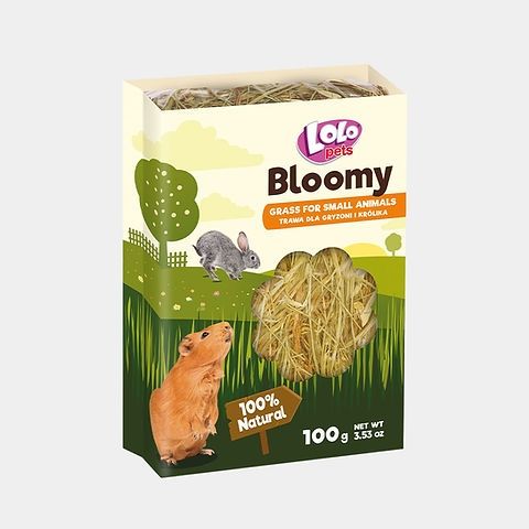 Kit de siembra de hierba fresca 🌾