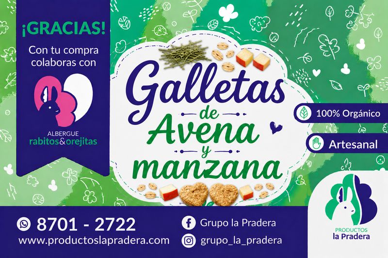 Galletas de  avena y manzana 