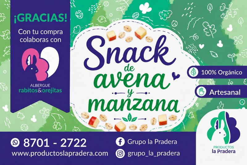 Snack crujiente de avena y manzana