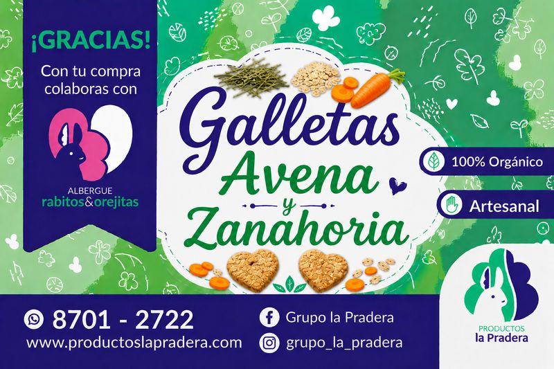 Galletas de Zanahoria