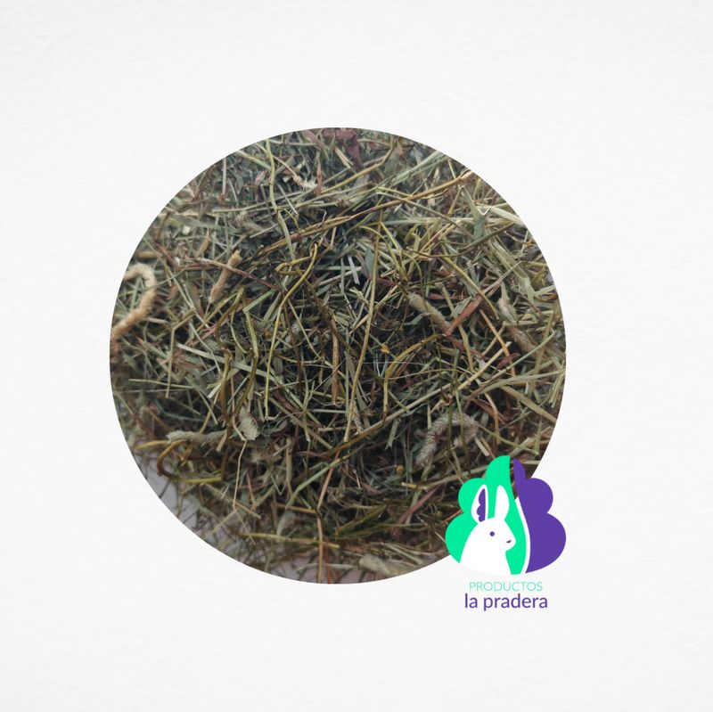 Heno Premium Herbal con Oregano