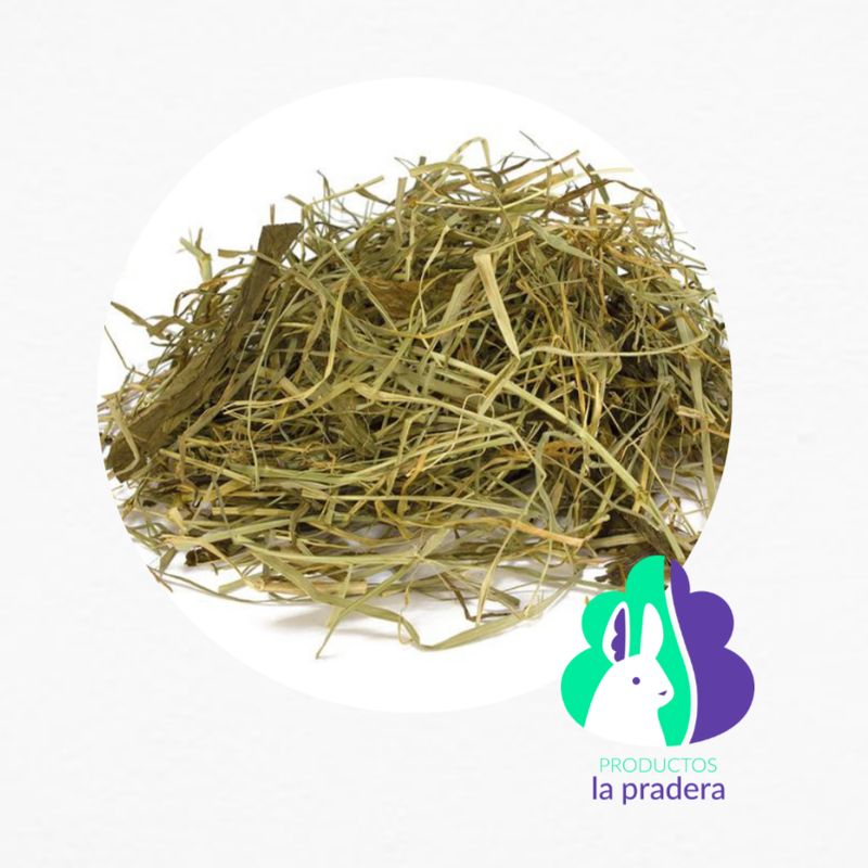 Heno Premium Herbal con Hierba buena