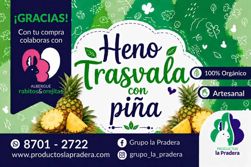 Heno Premium frutal con Piña