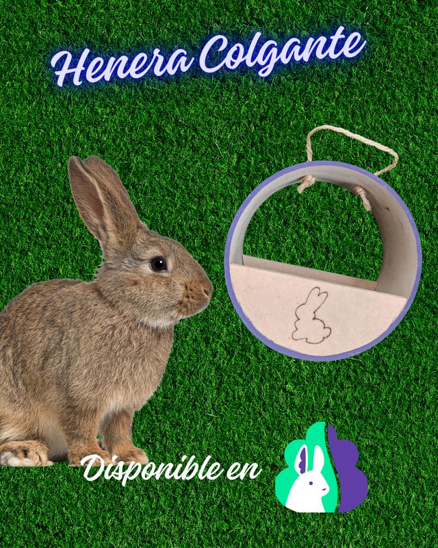 Henera  de madera  natural con juguetes