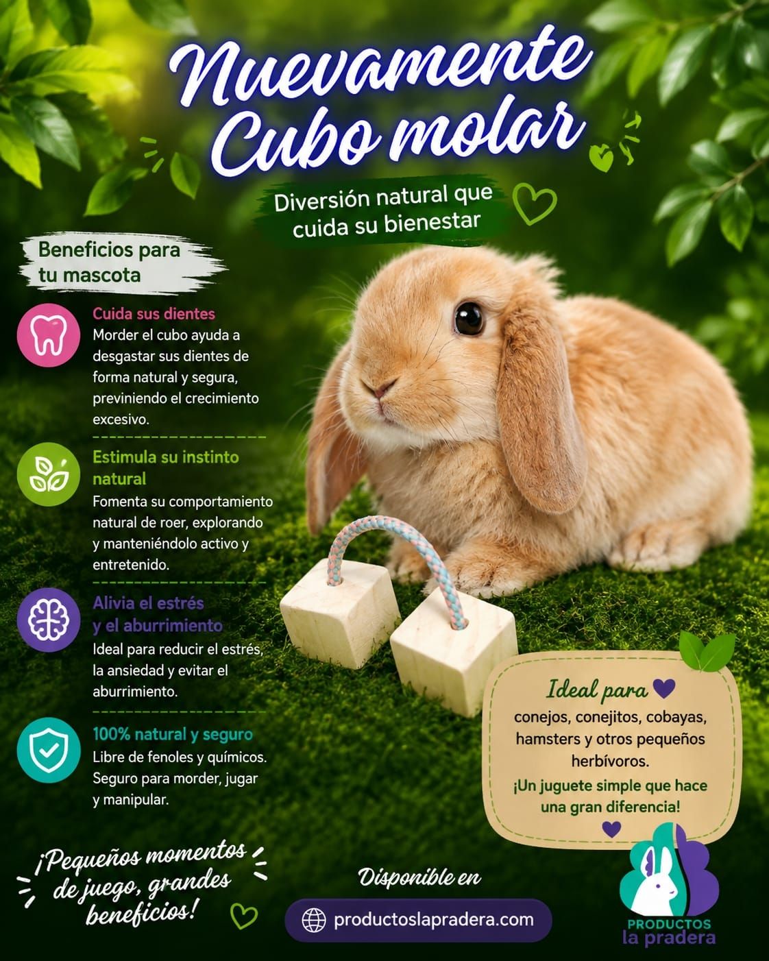Juguete de madera  cubo molar
