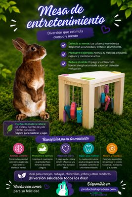 Mesa de entretenimiento para conejos y Roedores