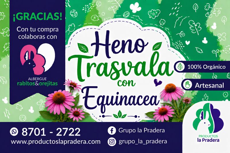 Heno Premium con equinacea