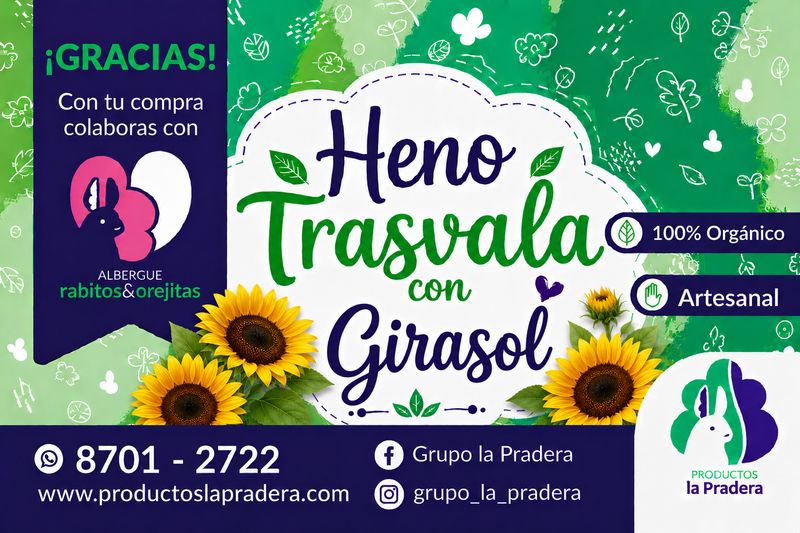 Heno Premium con Girasol