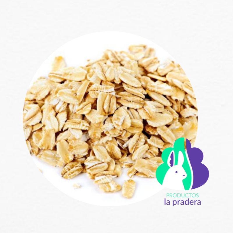 Avena integral orgánica