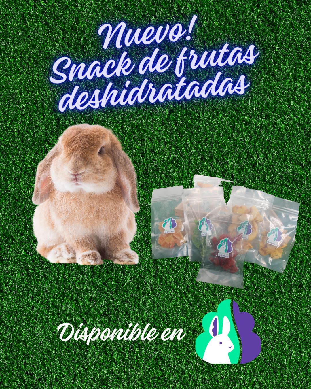 Snack de frutas deshidratadas 