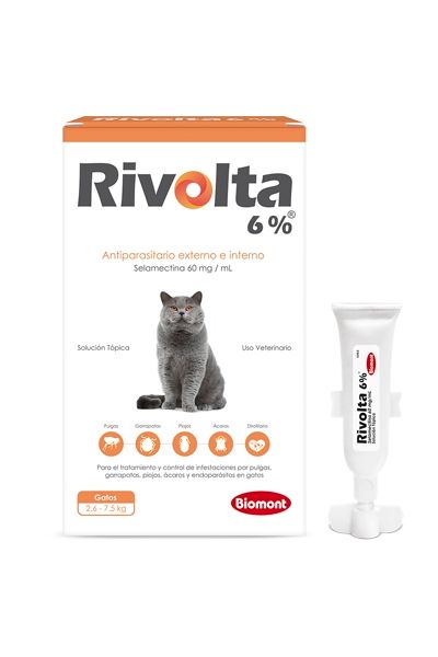 Pipeta Rivolta gatos 6%