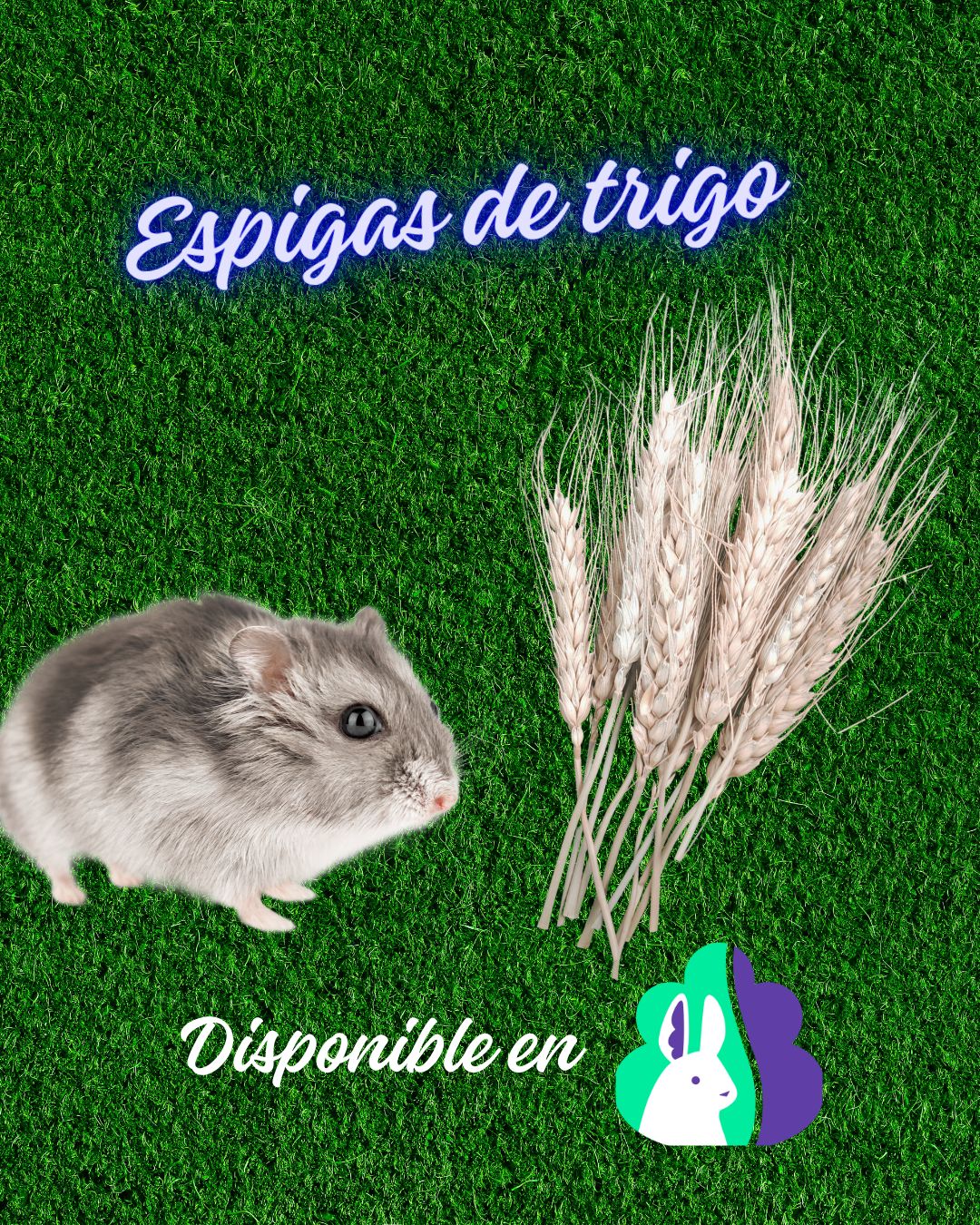 Snack de espiga de trigos