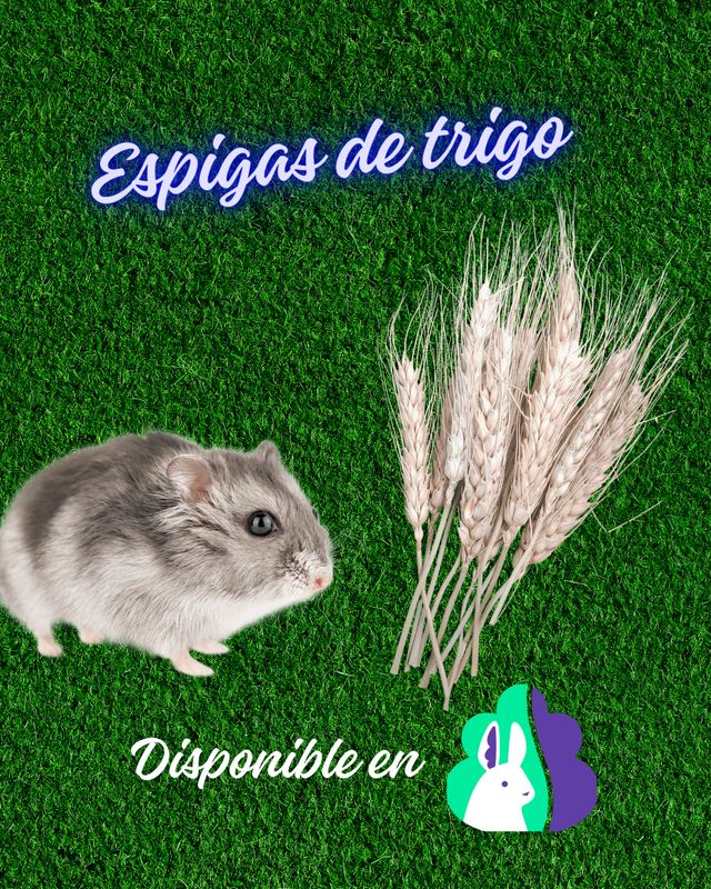 Snack de espiga de trigos