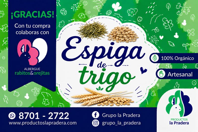 Snack de espiga de trigos