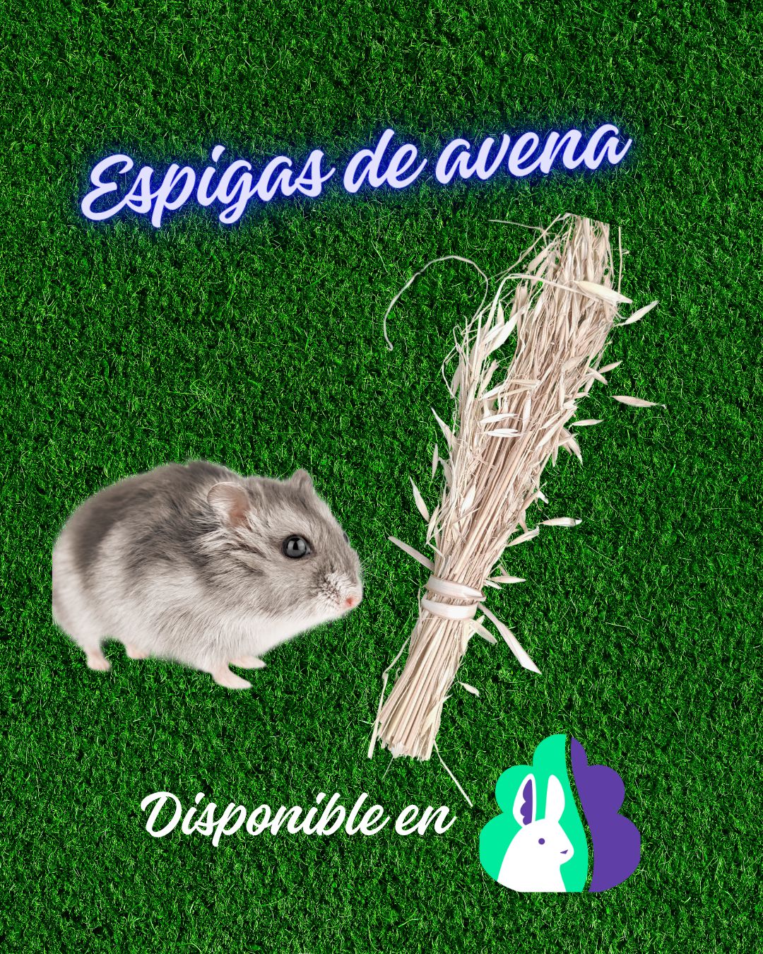 Snack de espiga de avena 