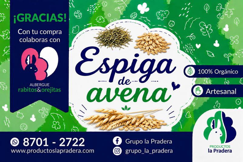 Snack de espiga de avena 