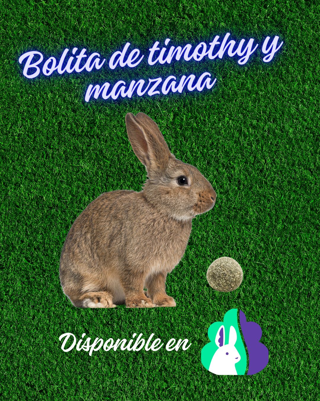 Bolita de heno timothy y manzana 
