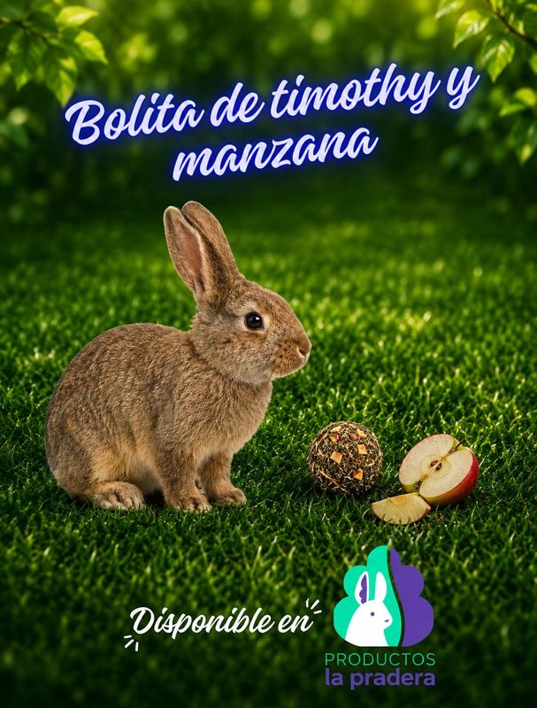 Bolita de heno timothy y manzana 