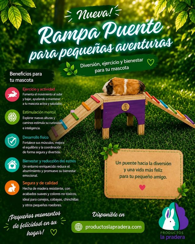 Rampa para play !