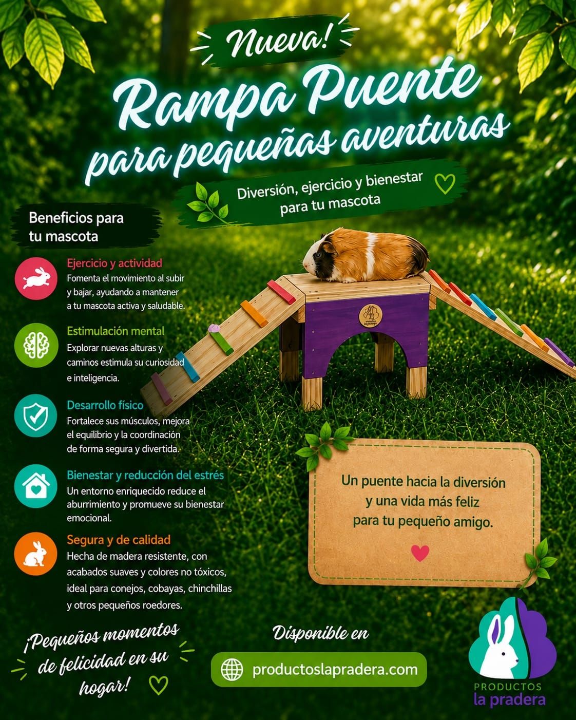Rampa para play !