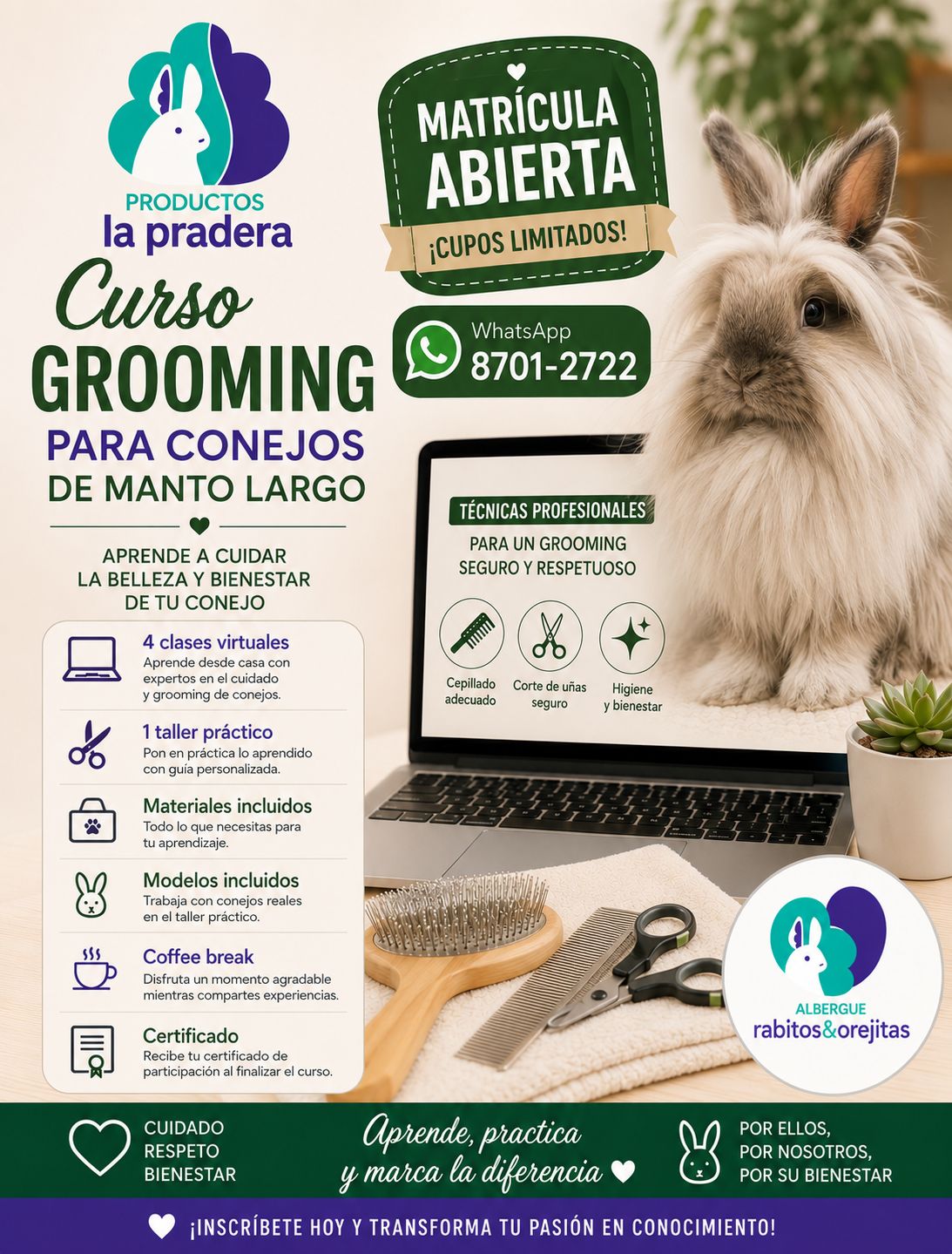 Curso grooming conejos manto largo