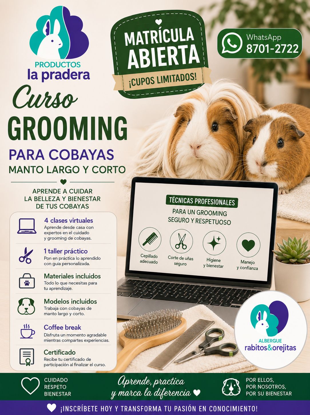 Curso grooming cobayas todos los mantos