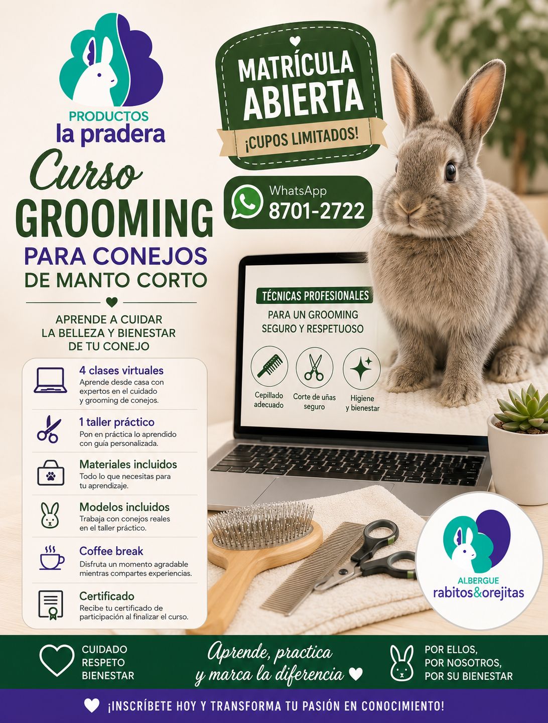 Curso de grooming para conejitos pelo corto