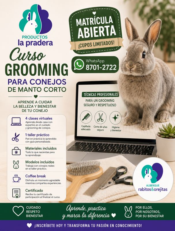 Curso de grooming para conejitos pelo corto
