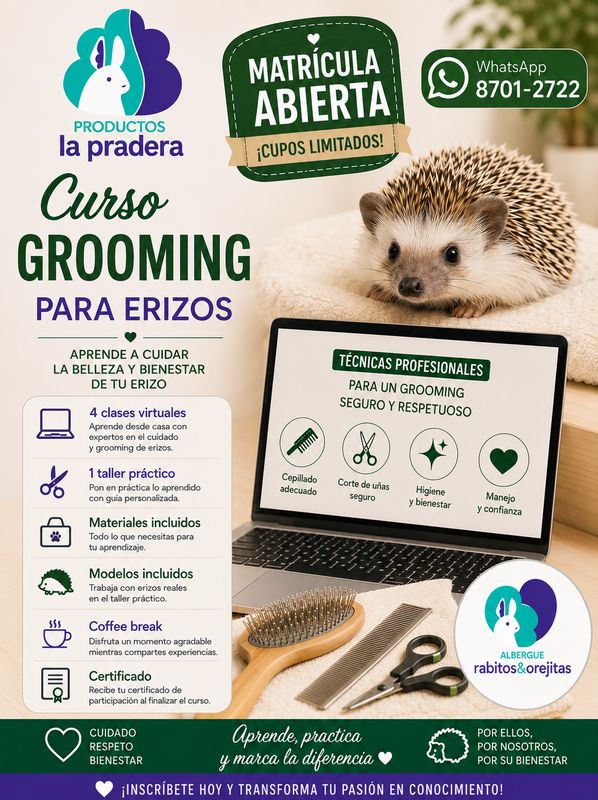 Curso grooming de erizos africanos