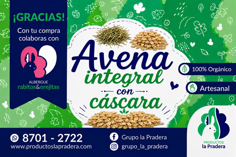 Avena integral con cáscara 