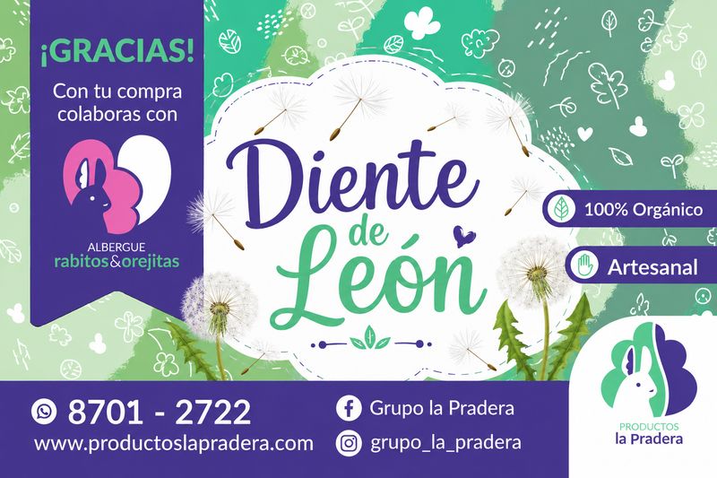 Snack raíz diente de león