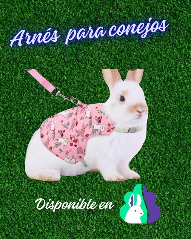 Arnes ajustable  para conejos talla S