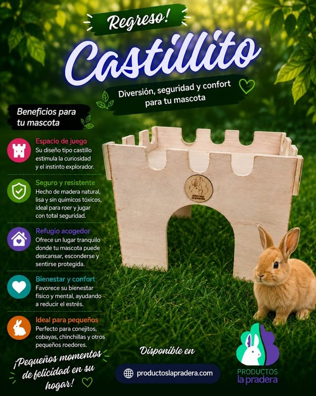 Castillo Pequeño 