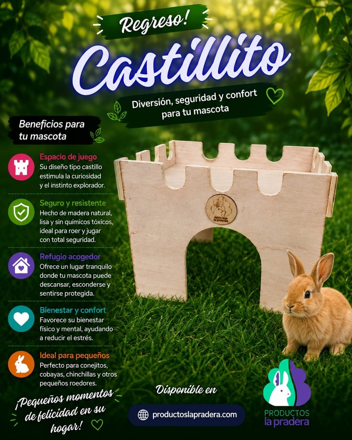 Castillo Pequeño 
