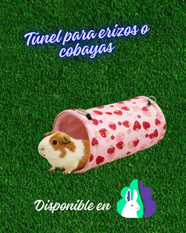 Tunel colgante para cobayas, erizos o roedores