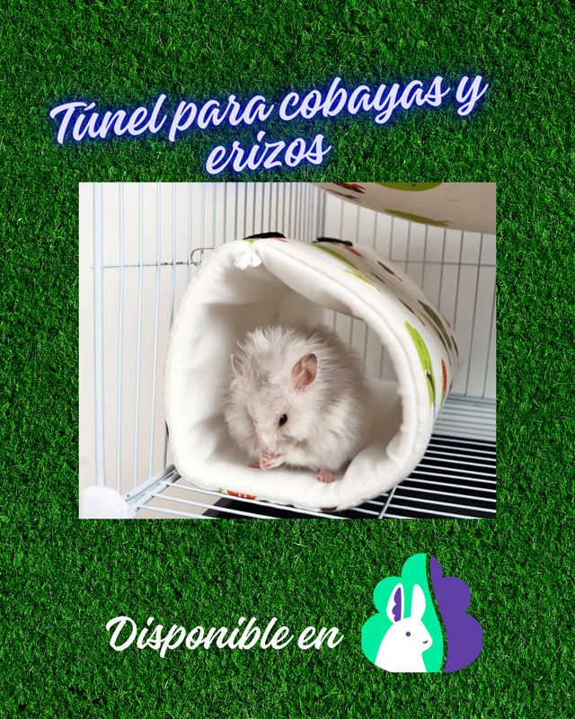 Tunel colgante para cobayas, erizos o roedores