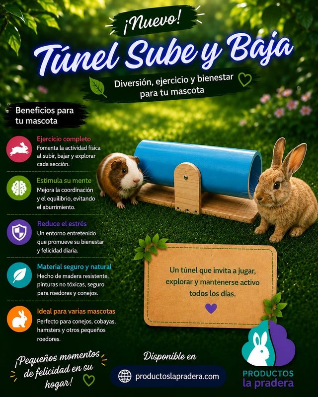 Tunel sube y baja 
