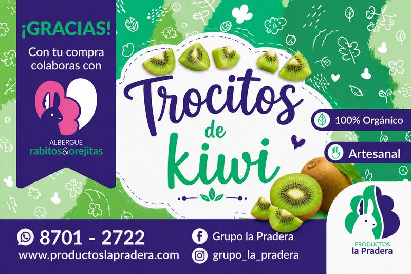 Snack de kiwi deshidratado 