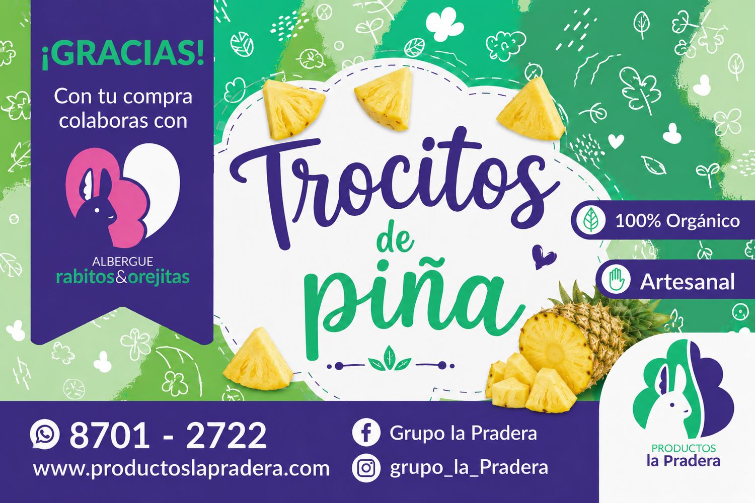 Snack de piña deshidratada 