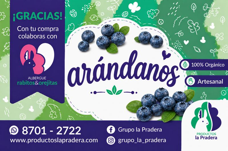 Snack de arándanos deshidratados 