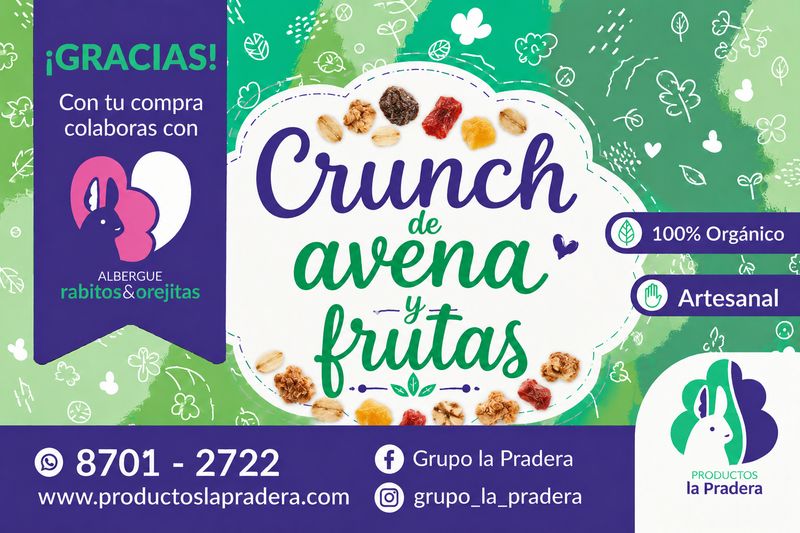 Crunch de avena y frutas 