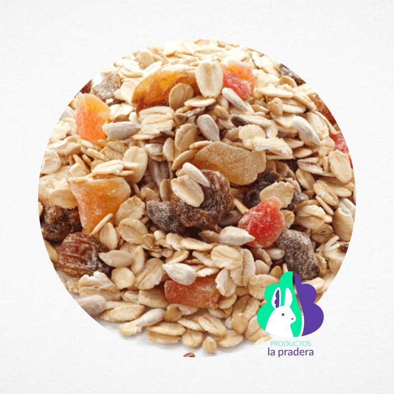 Crunch de avena y frutas 