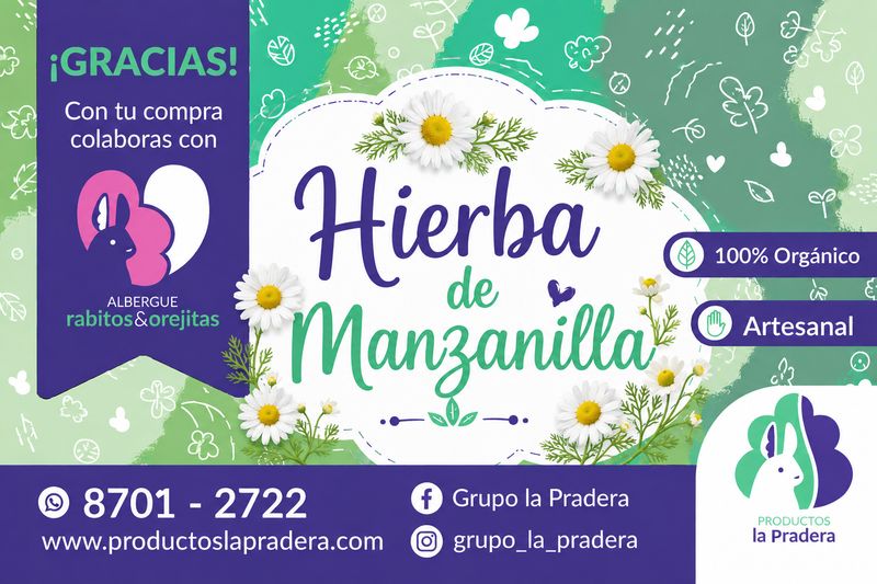Snack de hierba de manzanilla 