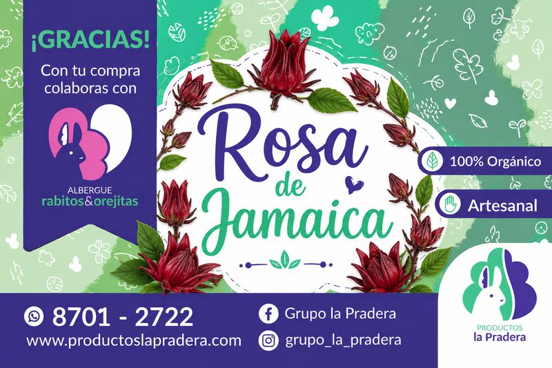 Snack de pétalos de rosa Jamaica