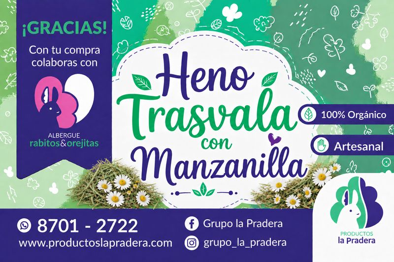 Heno Premium herbal manzanilla
