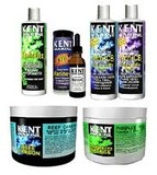 Supplements