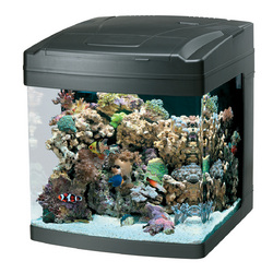 Oceanic BioCube 29 gallon