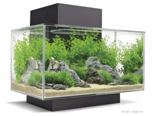 FLUVAL EDGE - 6 Gallons - New LED version